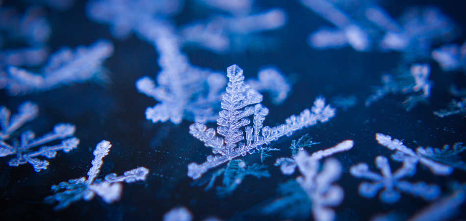 " 13 years in photography "